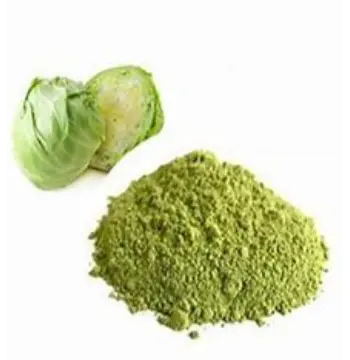 Fresh Cabbage Powder